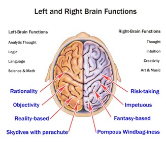 Brain Functions, Left Vs. Right